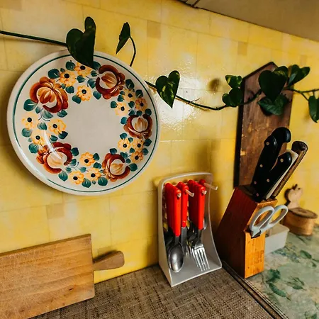 Feel The Old Socialist Style